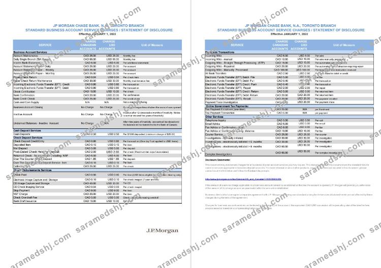 USA JP Morgan bank statement 2 pages VERSION 2